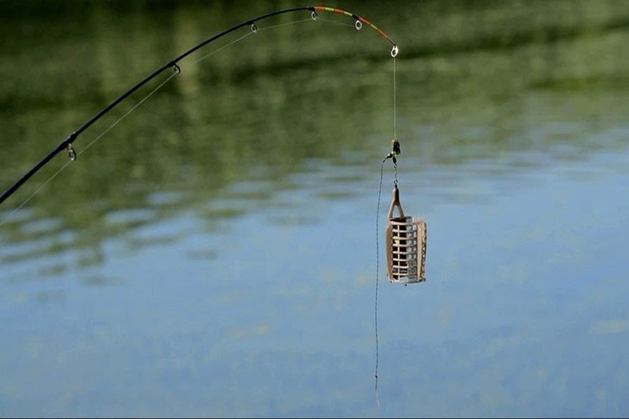 Как рыбачить на фидер