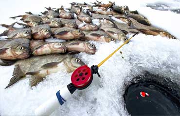 3 зимние удочки, которые гарантированно спасут рыбалку