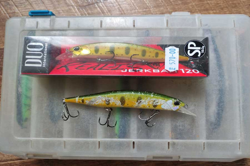 Воблер DUO Realis Jerkbait 120SP