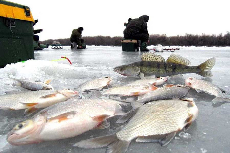 Какой ледобур лучше купить для зимней рыбалки?