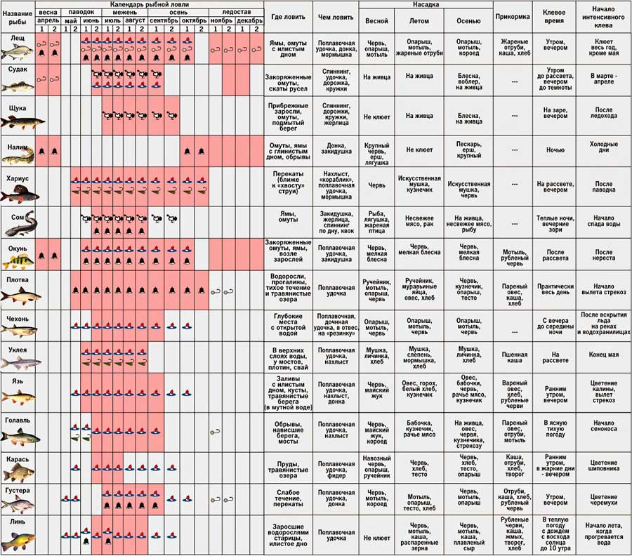 Точный клев на завтра. Таблица клёва рыбы зимней. Таблица давления ловли рыбы зимой. Таблица клева рыбы по месяцам на 2022 год. Рыболовный календарь на 2022 год на клев рыбы.