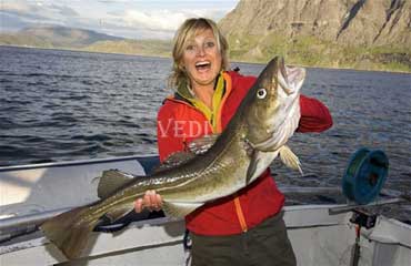 Рыбалка в Норвегии: гид для рыбаков. Трофеи, сезоны, снасти