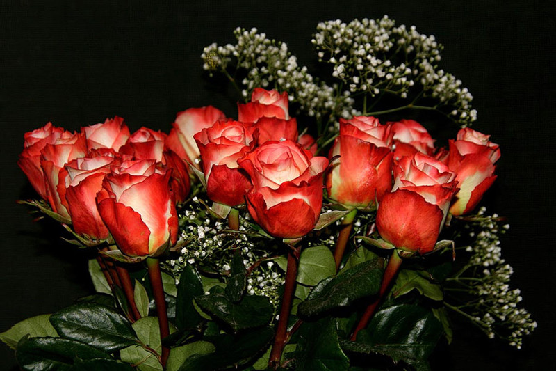Шикарные букеты роз с доставкой по Украине