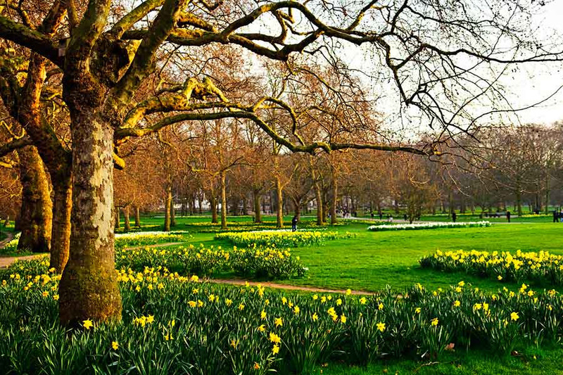 Сент-Джеймсский парк, Лондон