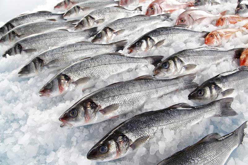 Рынок и экспорт рыбы в России
