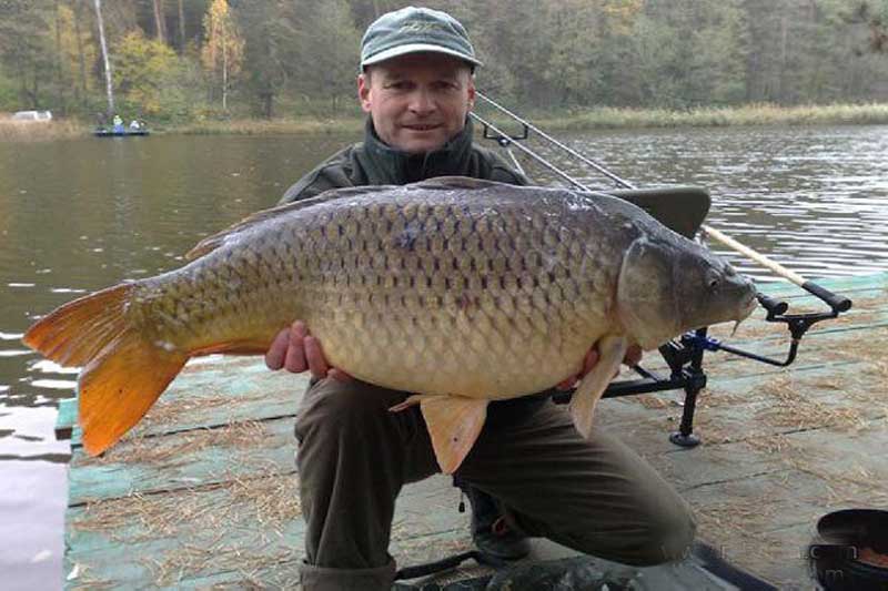 Рыбалка на озере Трофейное в Киевской области