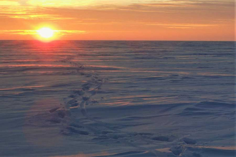 Рыбалка на Волге, Куйбышевское водохранилище. Фото 5