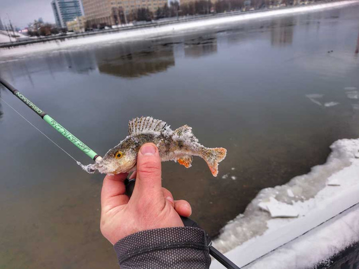 Открытие спиннингового сезона 2019 по открытой воде