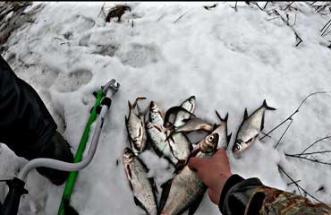 Зимняя рыбалка – время завершения сезона или нового начала?