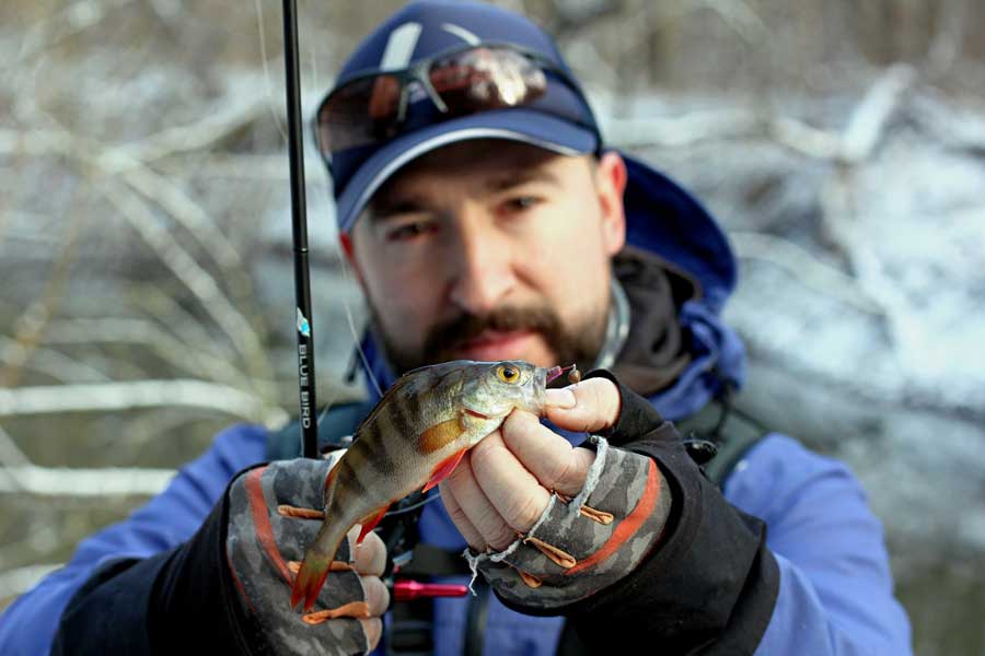 Ловлю эмоции. Fishing эмоция. Ловля эмоций.