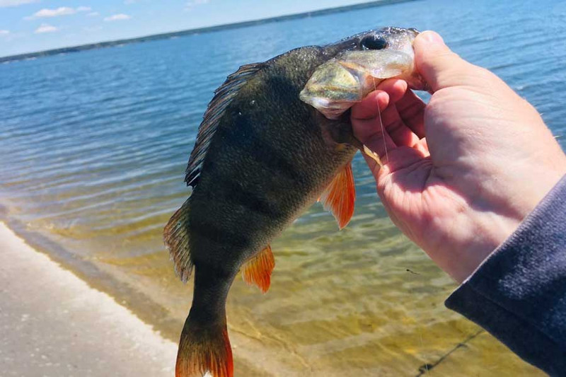 Рыбалка на Матырском водохранилище. Фото 2