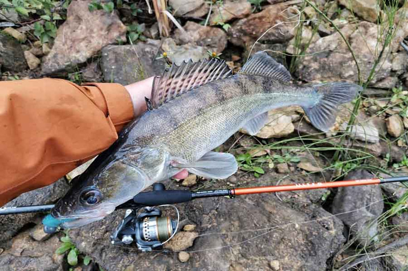 Рыбалка на незнакомом водоеме. Ключик к местной рыбе