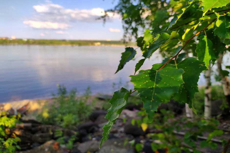 Рыбалка на подлещика в летнюю жару на поплавочные снасти. Фото 1