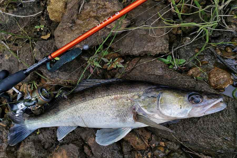 Рыбалка на незнакомом водоеме. Ключик к местной рыбе. Фото 1