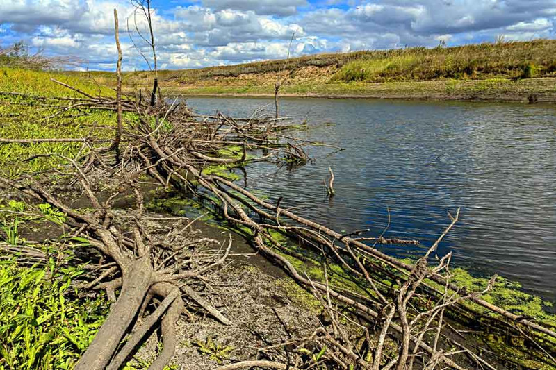 Клев хищника закончился так же неожиданно, как и начался. Фото 1