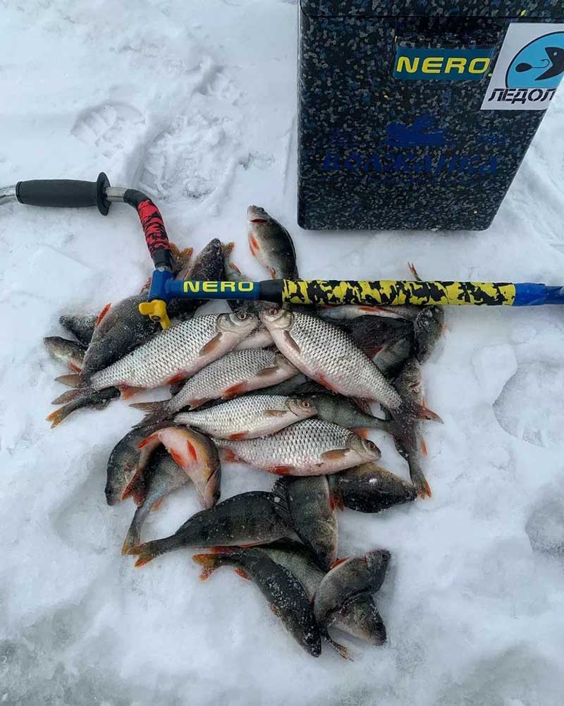 Лучшая рыбалка: Ловля плотвы по первому льду