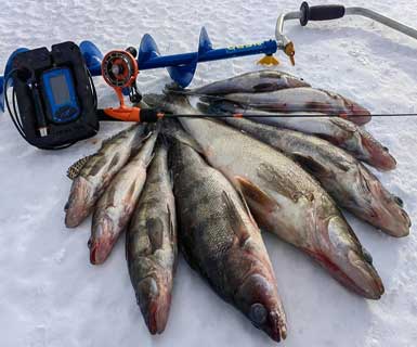 Ловля судака зимой - трудно найти, но легко поймать