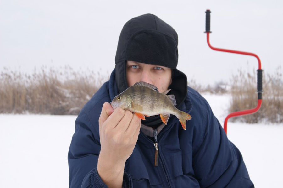 Рыбалка на белоярском водохранилище в контакте. Рыбалка на Белоярском водохранилище. Зимняя рыбалка на Белоярском водохранилище. Зимняя рыбалка на Белоярке. Белоярка Свердловской области рыбалка.