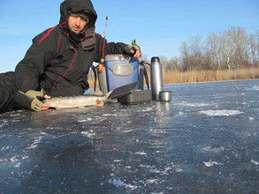 Ловил щуку на балансиры RAPALA 7 см