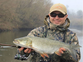 Jackall Colt Minnow 65 SP - открытие сезона!