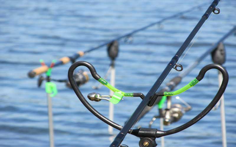 Ловля рыбы на фидер - советы и рекомендации для успешной рыбалки