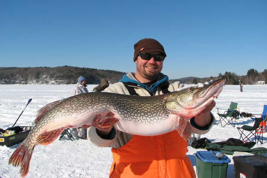 Можно сейчас ловить щуку. Щука в январе. Зимой как ловить щука рыба. Ice Pike. Щука мужик фотошоп.