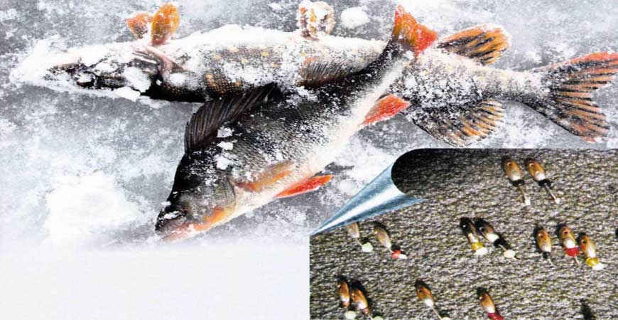 Ловля на мормышку зимой | Секреты современной рыбалки