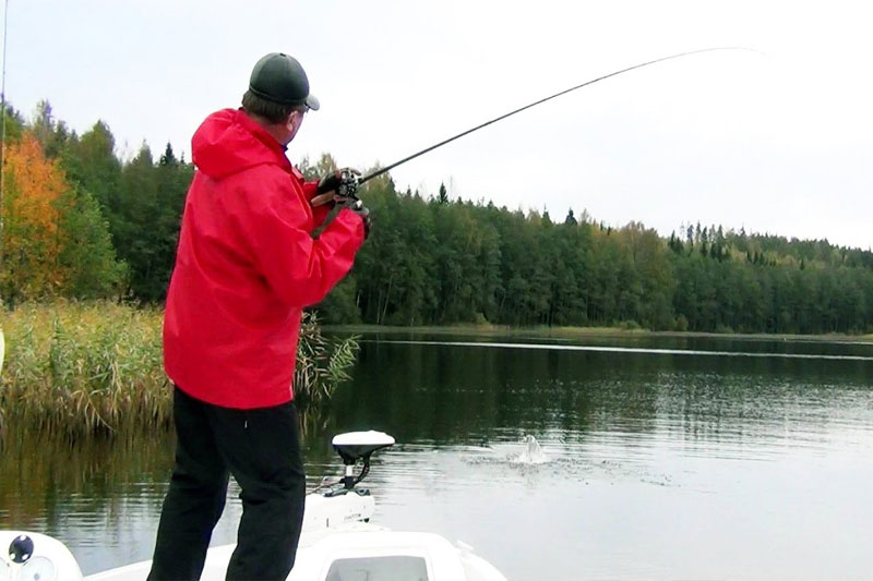Рыбалка в Ленинградской области - где, кого и как ловить