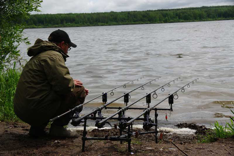 Ловля карпа на диких водоемах