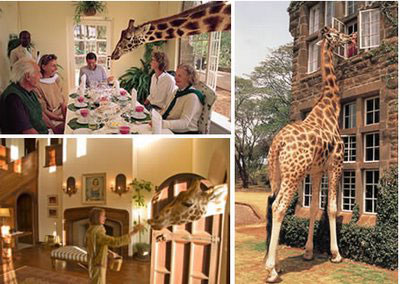 отель "Giraffe Manor"