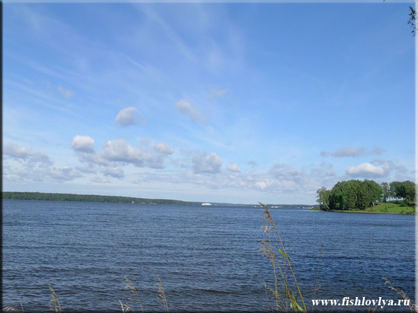 Рыбалка на Пестовском водохранилище