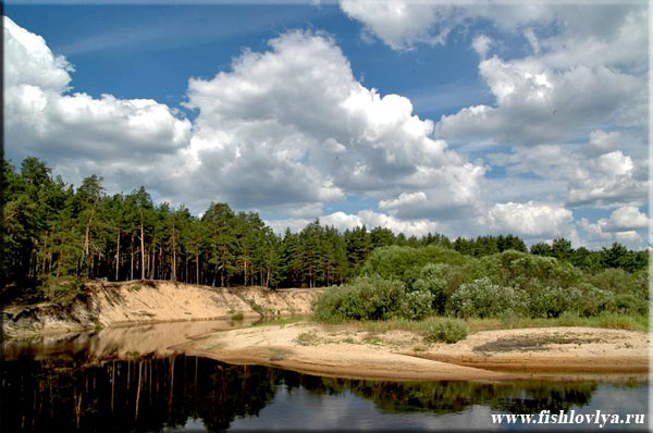 Рыбалка на реке Пра, Рязанская область