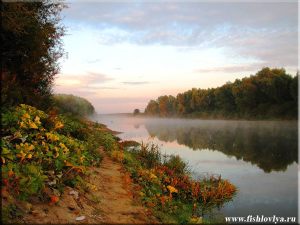 Рыбалка на реке Мокша, Рязанская область