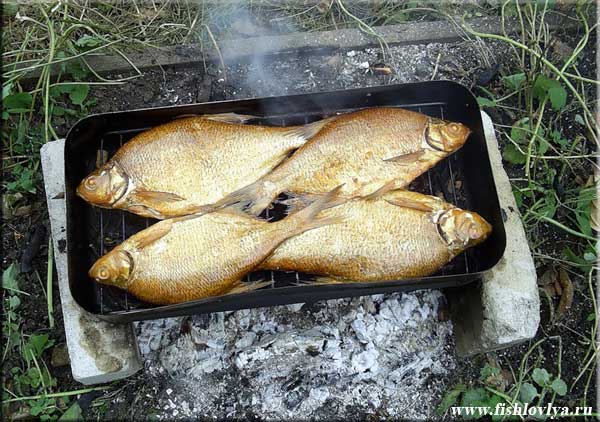 Рыбалка на реке Мокша