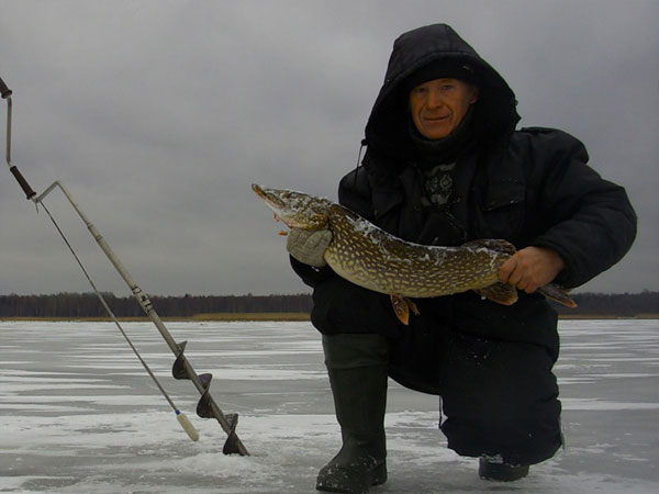 В Подмосковье за щукой. Кормится ли щука ночью?