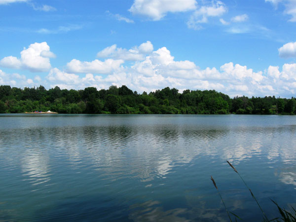 Река М. Кокшага. Водохранилище. Подлещик