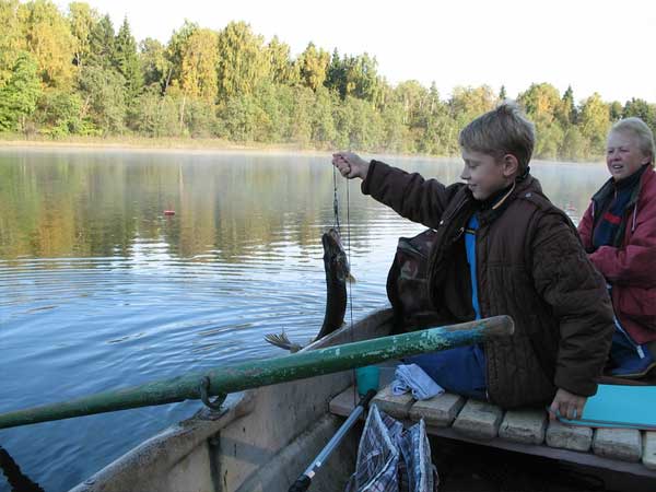 Выбор водоема и места ловли щуки