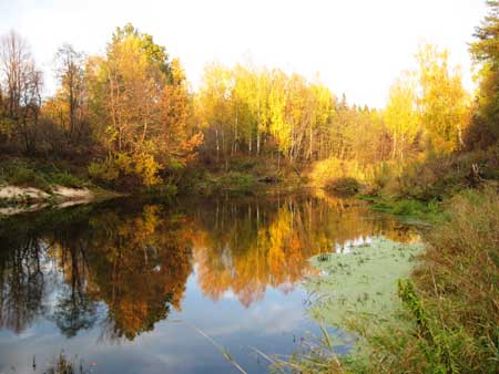 Чебоксарское водохранилище. Где найдешь, где потеряешь.