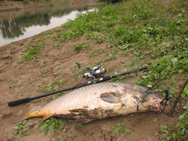 Рыбалка в Каракумах