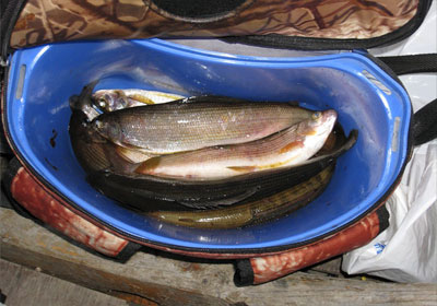 Рыболовные байки: рыбалка в Сибири