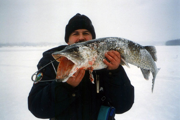 Зимняя рыбалка: Ловля щуки на зимние жерлицы