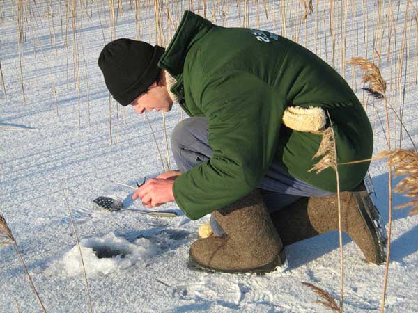 Зимняя рыбалка: Ловля плотвы по последнему льду