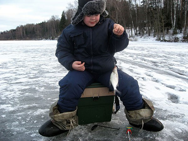 Зимняя рыбалка: подледная ловля судака и берша