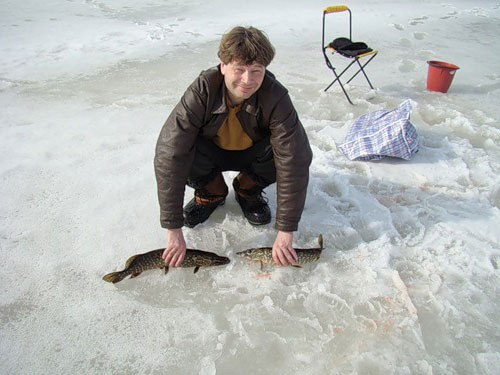 Зимняя рыбалка: Прикорм хищной рыбы