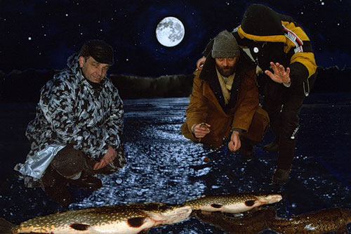Зимняя рыбалка: Универсальная приманка для зимней рыбалки