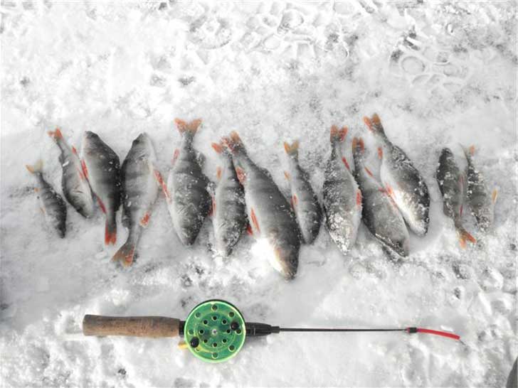 Зимняя рыбалка на озере Ветляное
