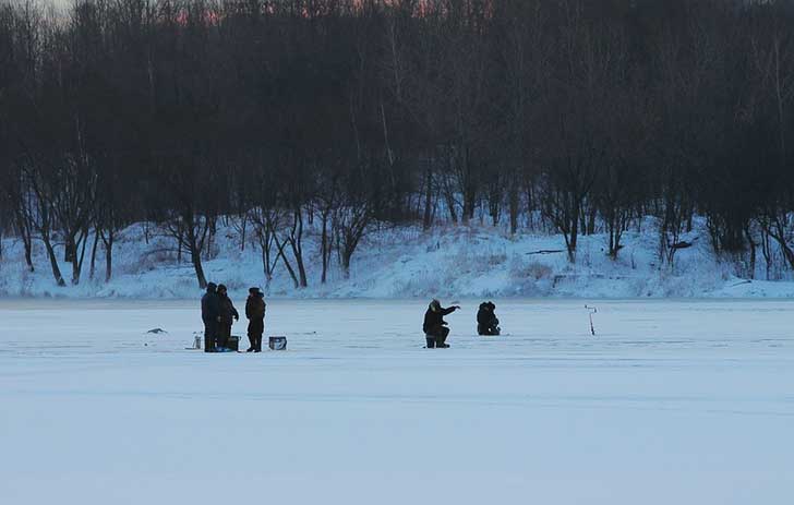 Рыбалка на Пронском водохранилище