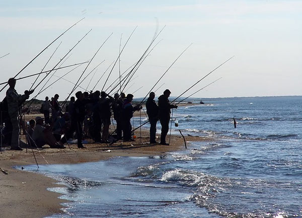 Рыбалка на Черном море