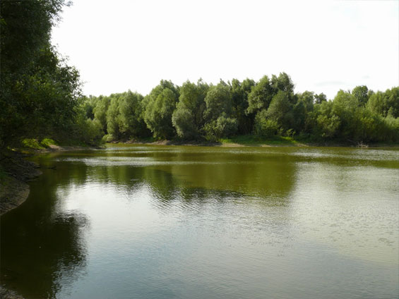 За жерехом на великий Дон