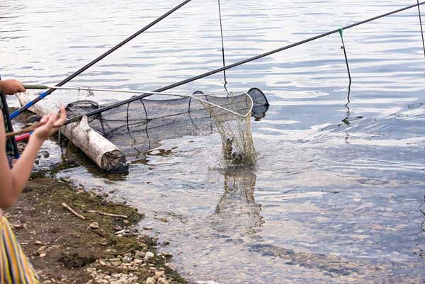 Рыбалка и отдых на озере Сенеж